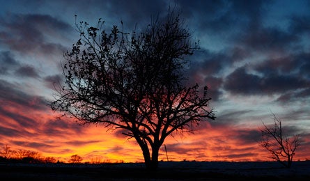 "Red sky at night -- what does it mean? (A. Bydlon)"