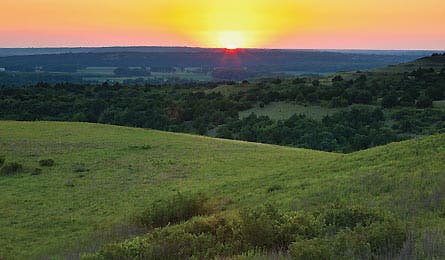 Sept12_FF_Parent_Godwin_445x260