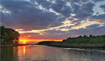 Sept12_Moore_JanesIsland_445x260