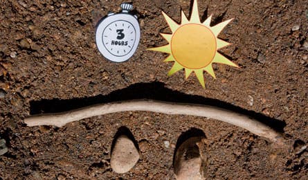 For this technique to determine north, you will need a stick (or pole), two stones, a visible sun, and about three hours of time. Find a sunny…