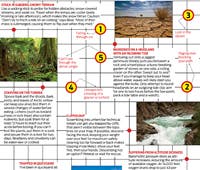 "survival issue terrain 200x170"