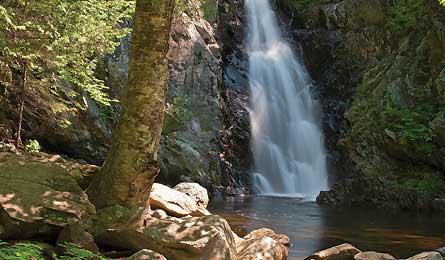 NOV12HUT Orcutt Maine1 445x260 76399 NOV12HUT_Orcutt_Maine1_445x260