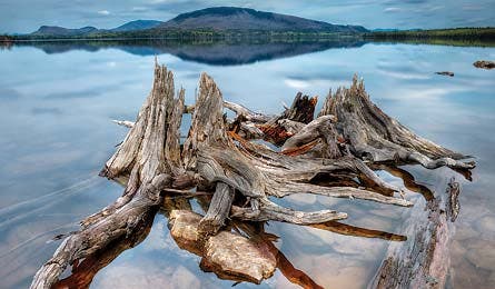 NOV12HUT_Orcutt_Maine2_445x260