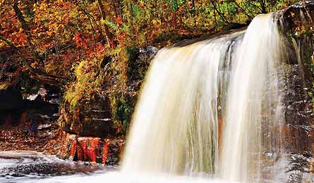 NOV12TRIPC TM Mamer WolfCreek 445X260 76446 NOV12TRIPC_TM_Mamer_WolfCreek_445X260