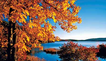 NOV12TRIPE TM AGE NewYork 445X260 76462 NOV12TRIPE_TM_AGE_NewYork_445X260