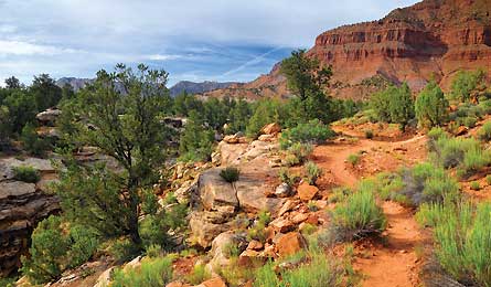 NOV12TRIPW TM Braun LasVegas 445X260 76473 NOV12TRIPW_TM_Braun_LasVegas_445X260