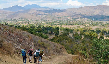 BP0113HERO_Austin_0758_445x260