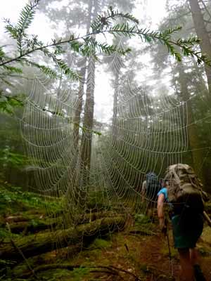 7P1000790 300x400 76897 7P1000790_300x400