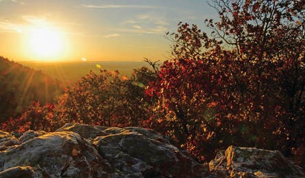 BP0313TRIPC FF CoburnNPS BalancedRock Bjk 445x260.jpg 76917 BP0313TRIPC_FF_CoburnNPS_BalancedRock_bjk_445x260.jpg
