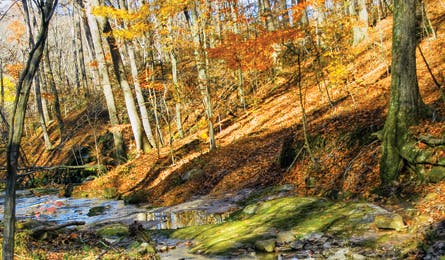 BP0313TRIPC FF LBraun Kinkaid Bjk 445x260.jpg 76918 BP0313TRIPC_FF_LBraun_Kinkaid_bjk_445x260.jpg