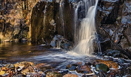 BP0313TRIPE FF Dickert HemlockFalls Bjk 445x260.jpg 76943 BP0313TRIPE_FF_Dickert_HemlockFalls_bjk_445x260.jpg