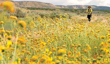 BP0513TRIP AB G2G-7607 445x260.jpg 79792 BP0513TRIP_AB_G2G-7607_445x260.jpg