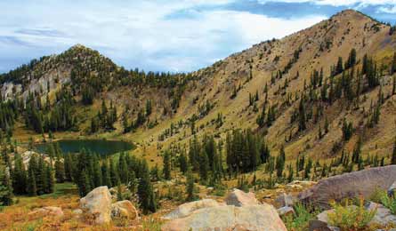 BP0513TRIP Dubock 4477 445x260.jpg 79872 BP0513TRIP_Dubock_4477_445x260.jpg