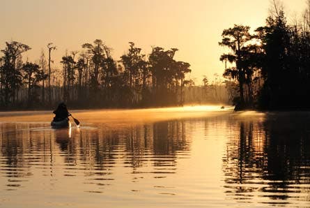 7contest IMG 9204 445.jpg 80095 7contest_IMG_9204_445.jpg