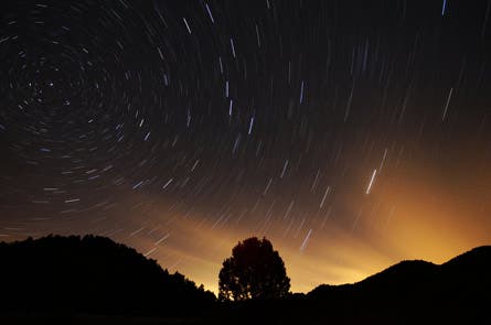 9daviddickerson 445.jpg 80097 9daviddickerson_445.jpg