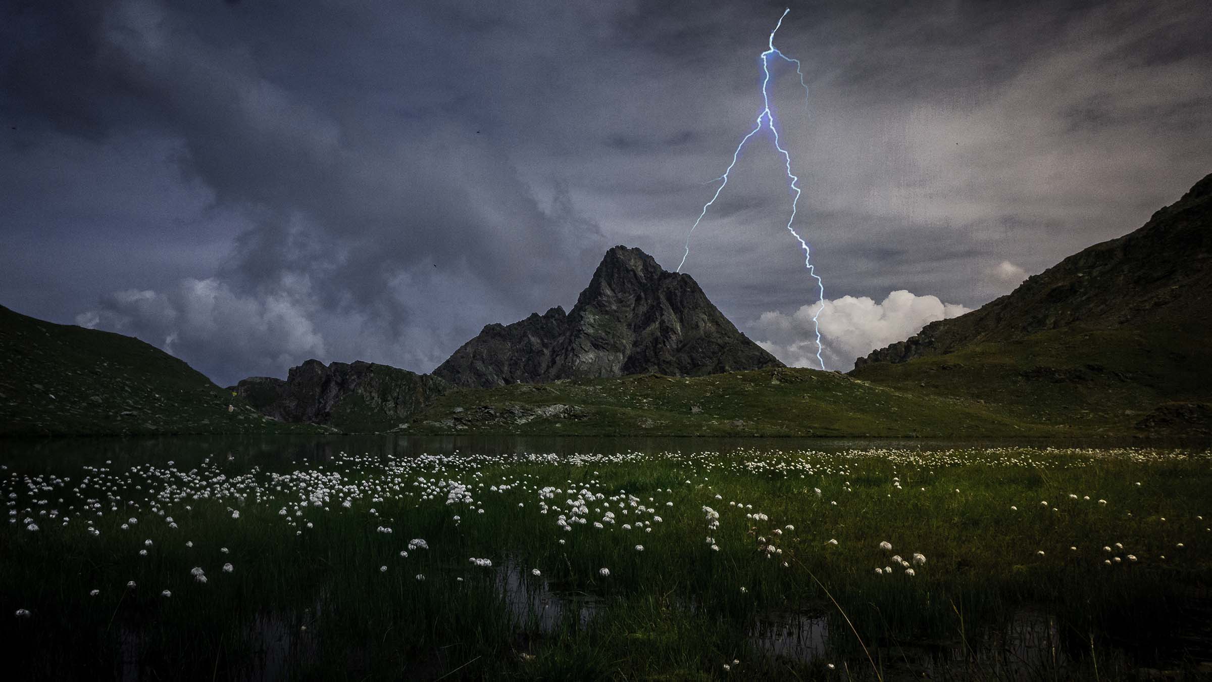 A Viking in the Vines:  A lightning bolt from clear sky changed my life  forever - though it was a real lightning strike and the sky was not clear