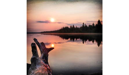 BP0613 Merke IsleRoyale InstaWinner 445x260.jpg 80249 BP0613_Merke_IsleRoyale_InstaWinner_445x260.jpg