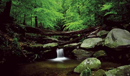 BP0613 Rybczynski LochRaven 445x260.jpg 80238 BP0613_Rybczynski_LochRaven_445x260.jpg