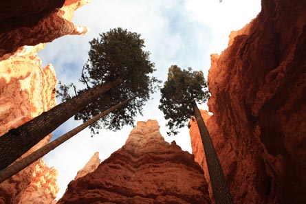 4 Contest Bryce-2013-411 445.jpg 80349 4_contest_bryce-2013-411_445.jpg
