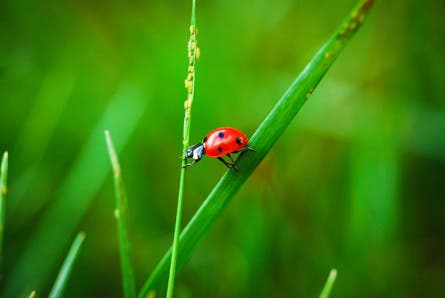 5 Contest 007 445.jpg 80350 5_contest_007_445.jpg