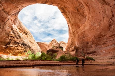 8 Contest IMG 6981-3 445.jpg 80353 8_contest_IMG_6981-3_445.jpg