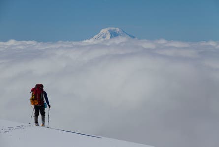 9 Contest Muir Snowfield 445.jpg 80354 9_contest_muir_snowfield_445.jpg