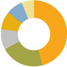 accident_piechart None