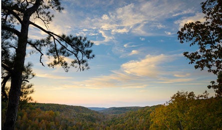 "Best Views Alabama Cane Creek Preserve Gerry Daniel 445"
