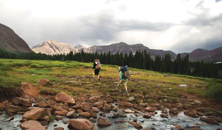 "BP0813_Cohen_KingsPk6253_445x260.jpg"