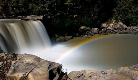 BP0813 E Goforth 445x260.jpg 80614 BP0813_E_Goforth_445x260.jpg