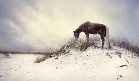 BP0813 E Lakey 445x260.jpg 80613 BP0813_E_Lakey_445x260.jpg