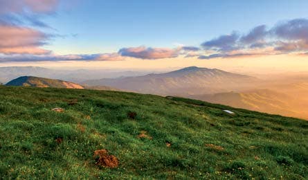 BP0813 W FF Johnson MarysPeak 445x260.jpg 80596 BP0813_W_FF_Johnson_MarysPeak_445x260.jpg