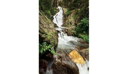 BP0813 W FF STENSLAND YpsilonFalls 445x260.jpg 80595 BP0813_W_FF_STENSLAND_YpsilonFalls_445x260.jpg