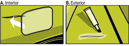 bugs_tent_illo_445 None