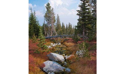 BP0813 HOWE HomerYoungs2 445x260.jpg 80782 Timberline park lands near Homer Youngs (Steve