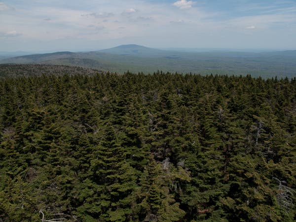 200905_longtrail0090.jpg None