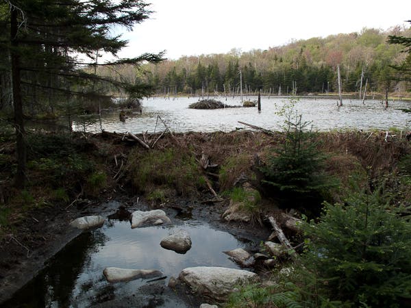 200905_longtrail0106.jpg None