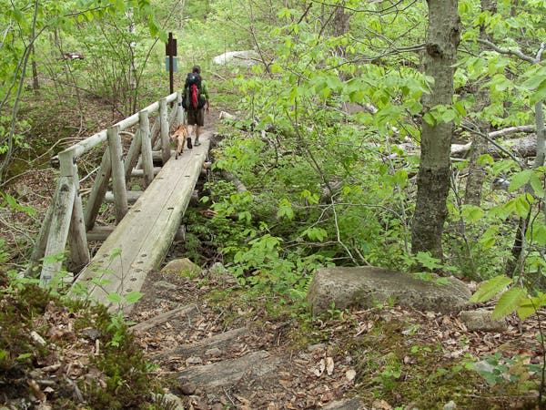 200905_longtrail0148.jpg None