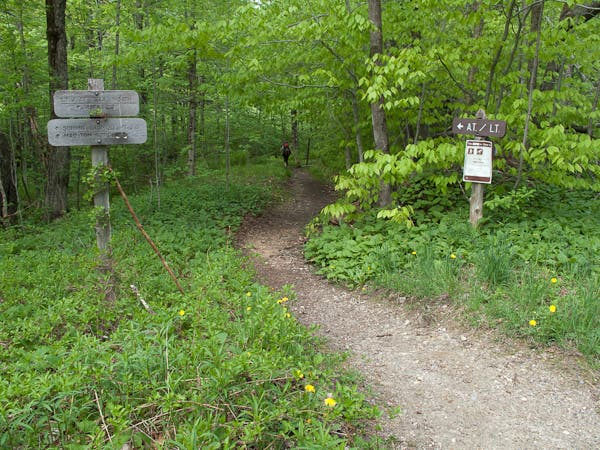 200905_longtrail0169.jpg None