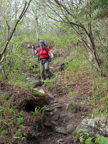 200905_longtrail0196.jpg None