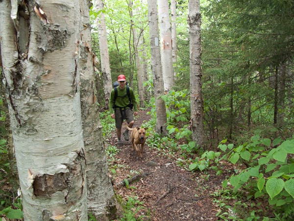 200905_longtrail0206.jpg None