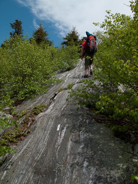 200905_longtrail0231.jpg None