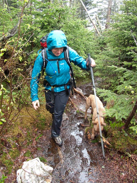 200905_longtrail0374.jpg None