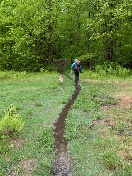 200905_longtrail0380.jpg None