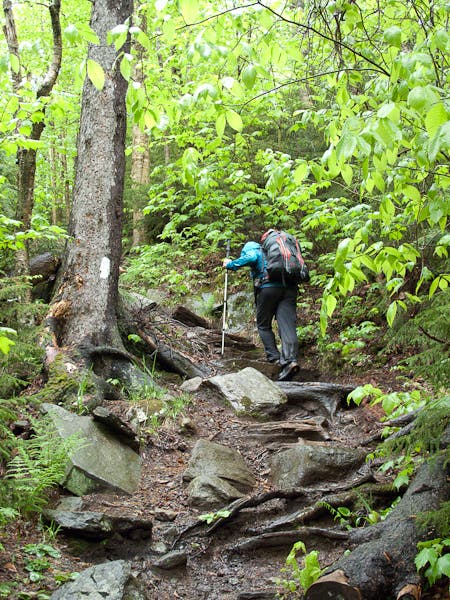 200905_longtrail0382.jpg None