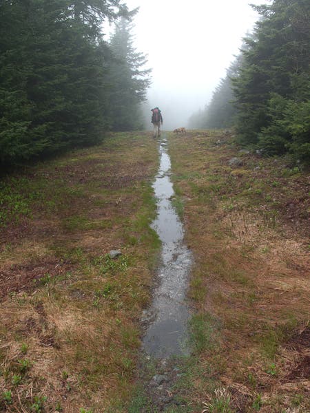 200905_longtrail0452.jpg None