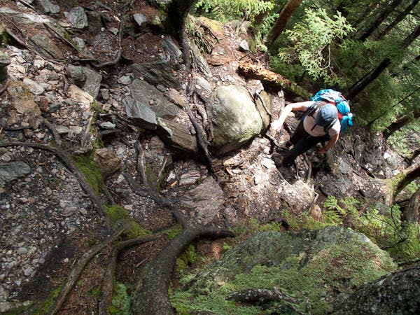 200905_longtrail0499.jpg None