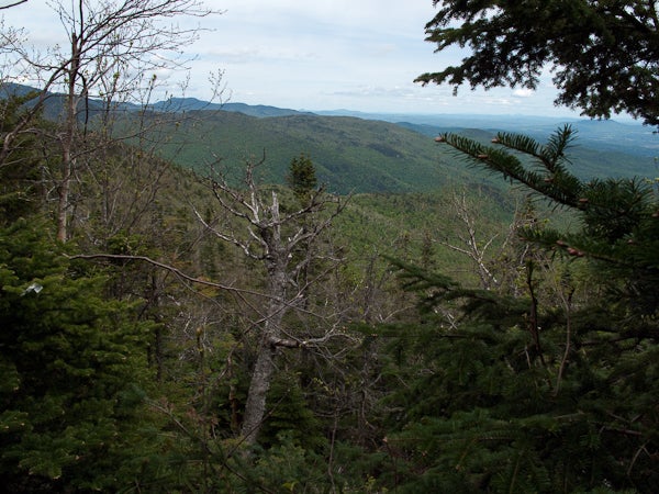 200906_longtrail0655.jpg None