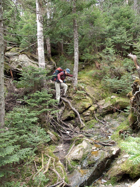 200906_longtrail0658.jpg None