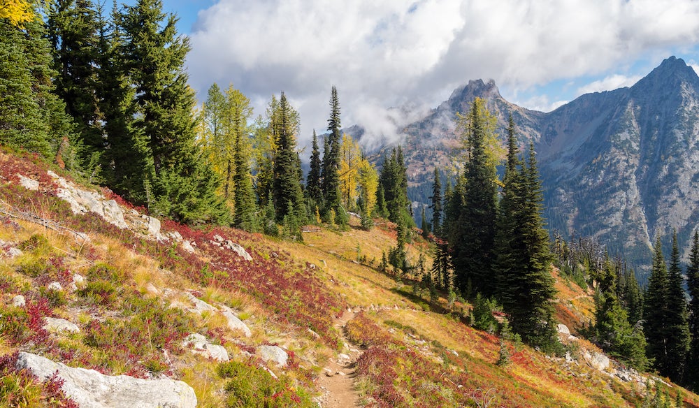 Maple Pass Loop Trail: Nonstop Views Of Glacier-topped Cascades 